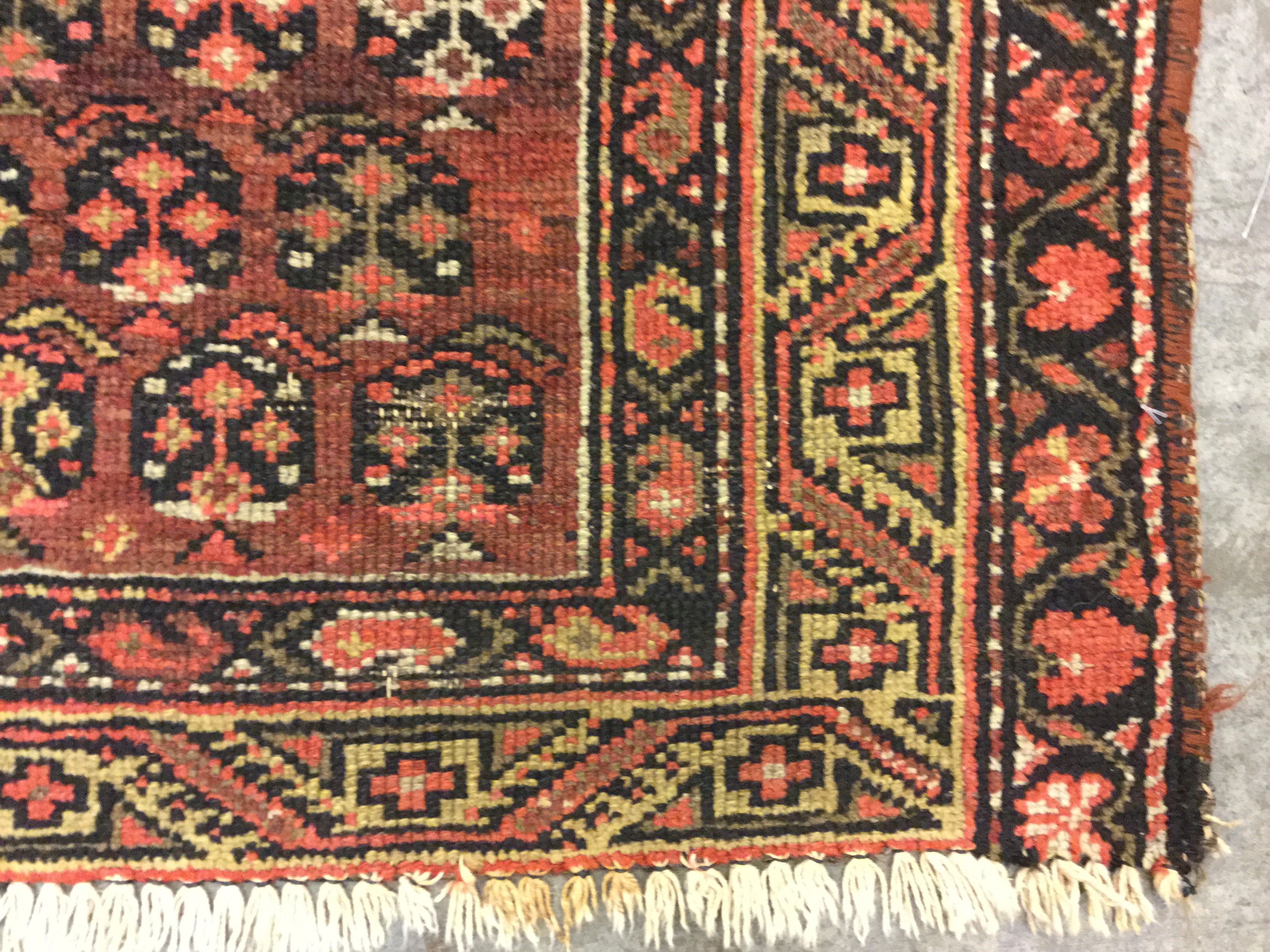KURDISH / IRAN | Togar Rugs